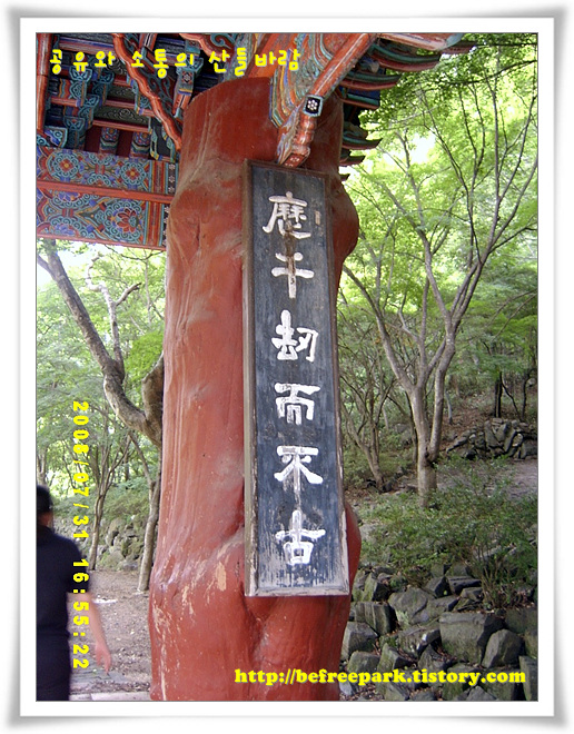사용자 삽입 이미지