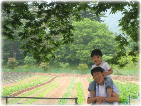 사용자 삽입 이미지