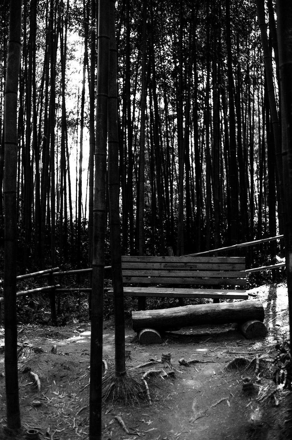 Rollei 35 / Ilford delta 100 / 담양 죽녹원