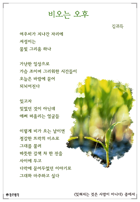 사용자 삽입 이미지