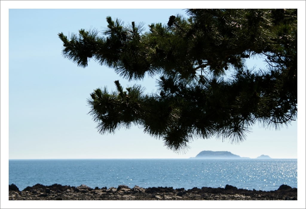 곰섬,여행사진,photography,태안사진