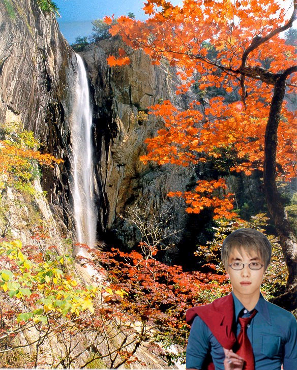 사용자 삽입 이미지