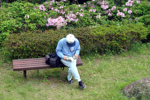 사용자 삽입 이미지