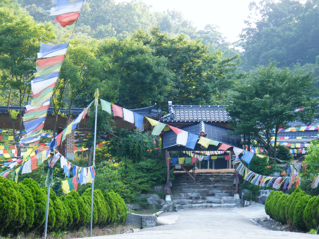사용자 삽입 이미지