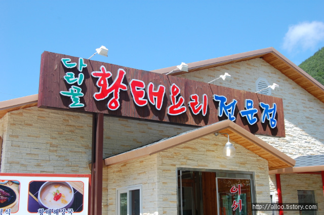사용자 삽입 이미지