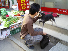 사용자 삽입 이미지