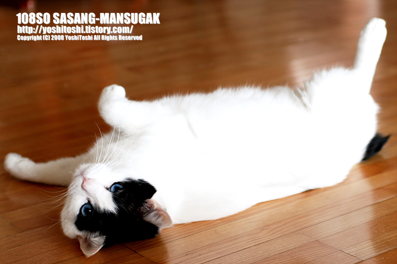 AhRong 2