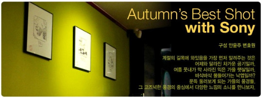 사용자 삽입 이미지
