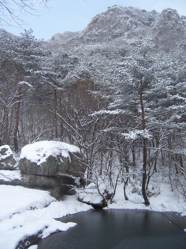 사용자 삽입 이미지