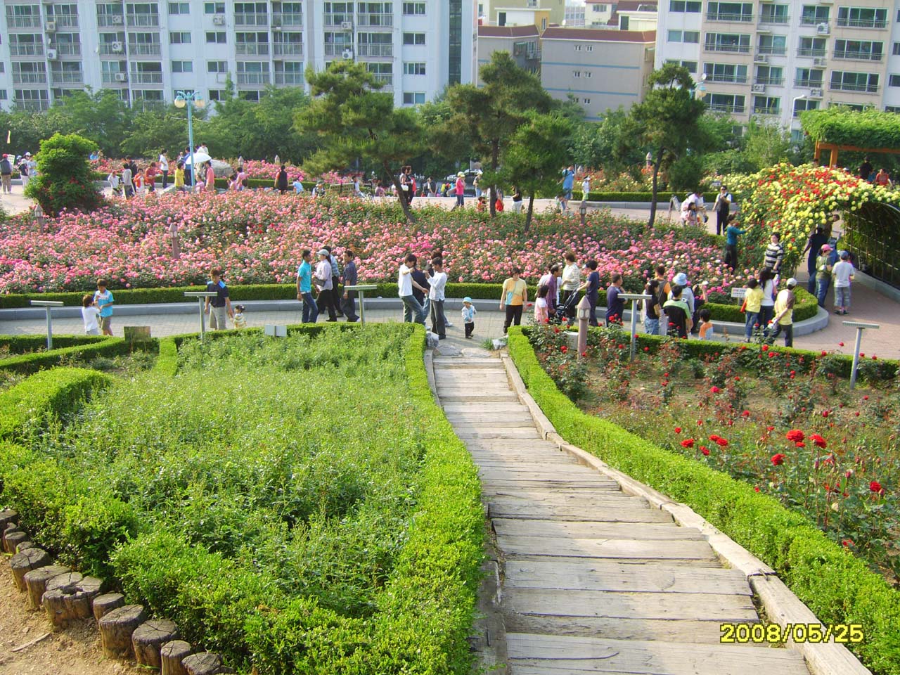 부천 도당산 장미공원