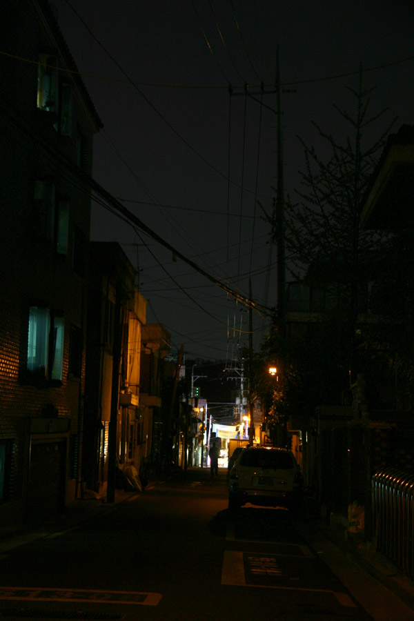 User inserted image