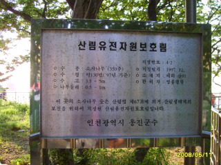 영흥도 소사나무 군락지에 있는 표지판
