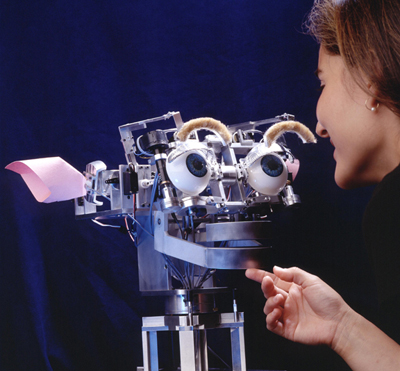 Kismet, a Sociable Robot by MIT Media Lab.