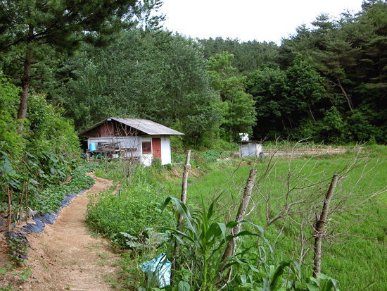사용자 삽입 이미지
