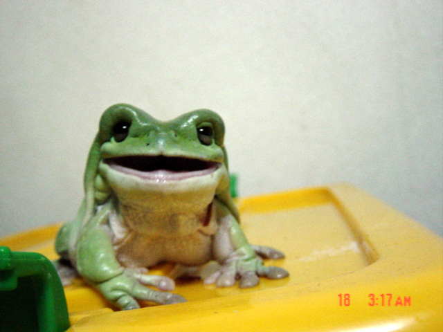 사용자 삽입 이미지