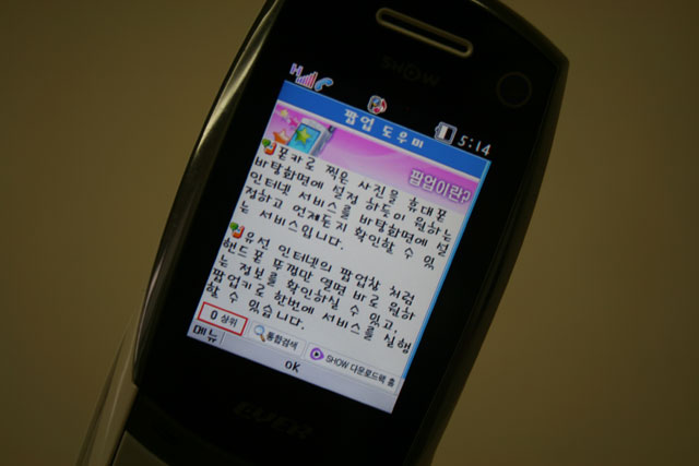 사용자 삽입 이미지