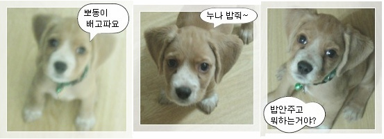 사용자 삽입 이미지