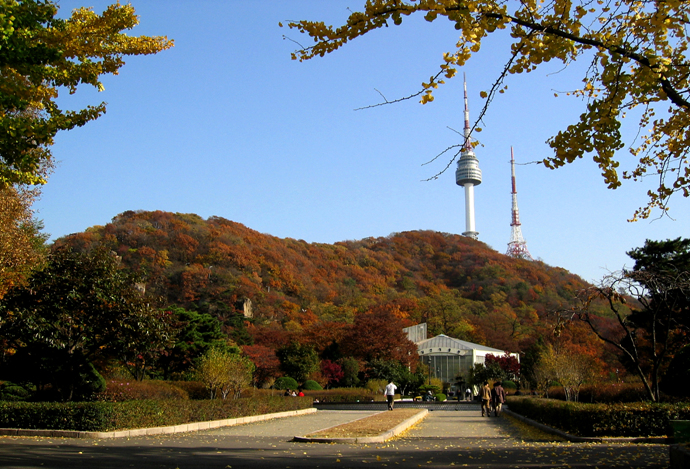 사용자 삽입 이미지