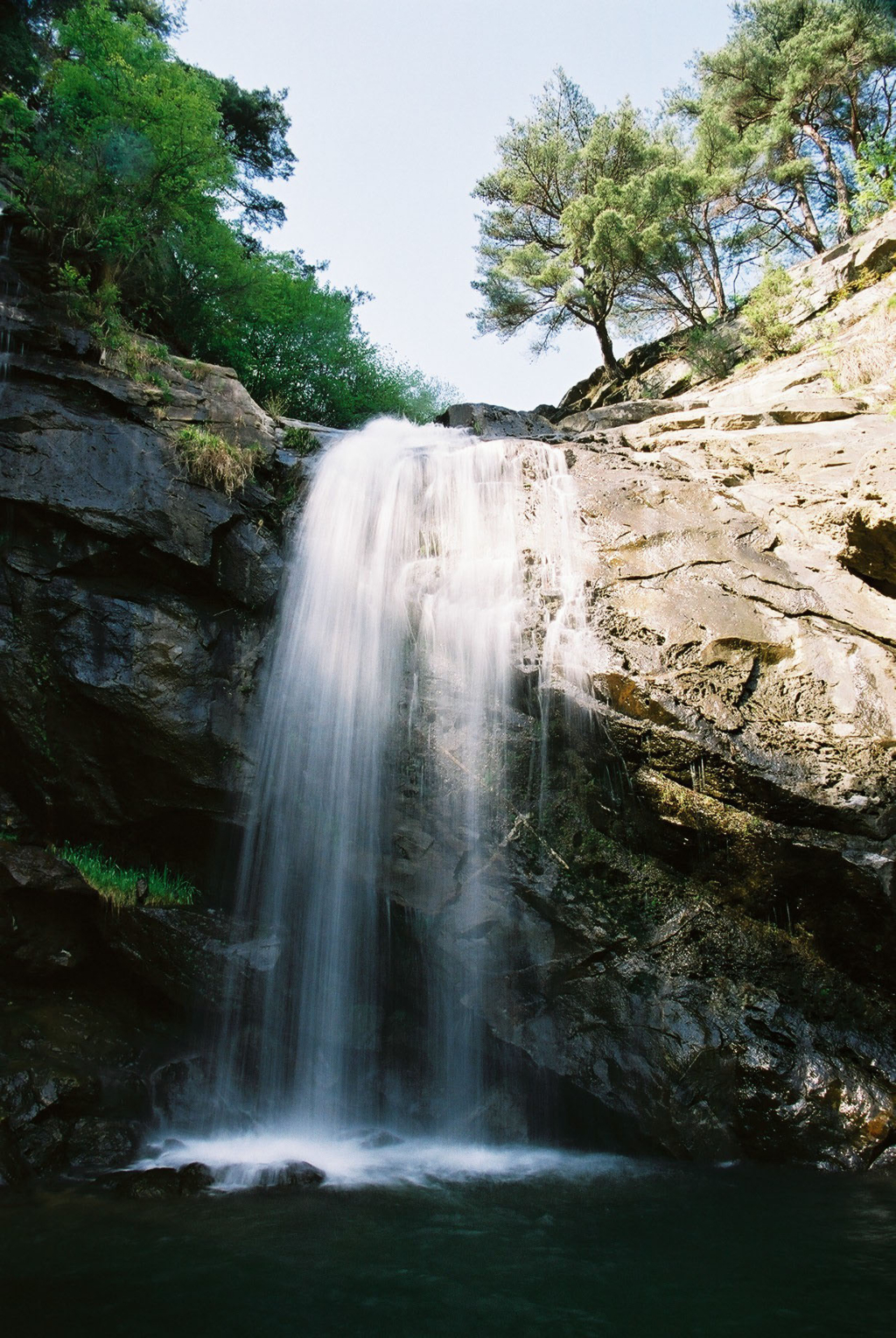 사용자 삽입 이미지