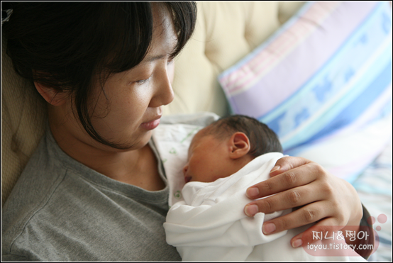 사용자 삽입 이미지