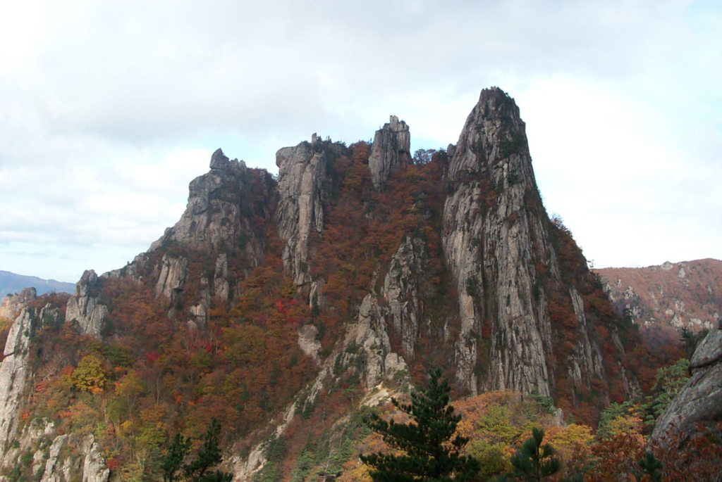 사용자 삽입 이미지