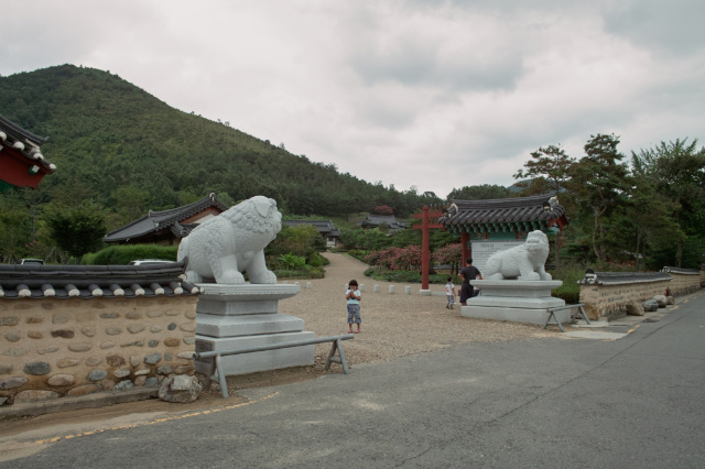 사용자 삽입 이미지
