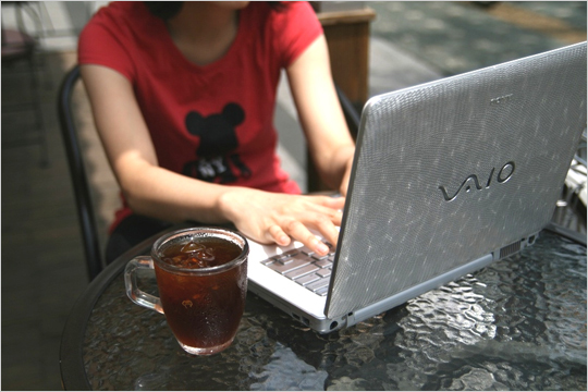 소니 VAIO VGN-CR355/S - 야성이 살아 숨쉬는 실버 리자드 노트북
