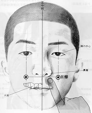 사용자 삽입 이미지