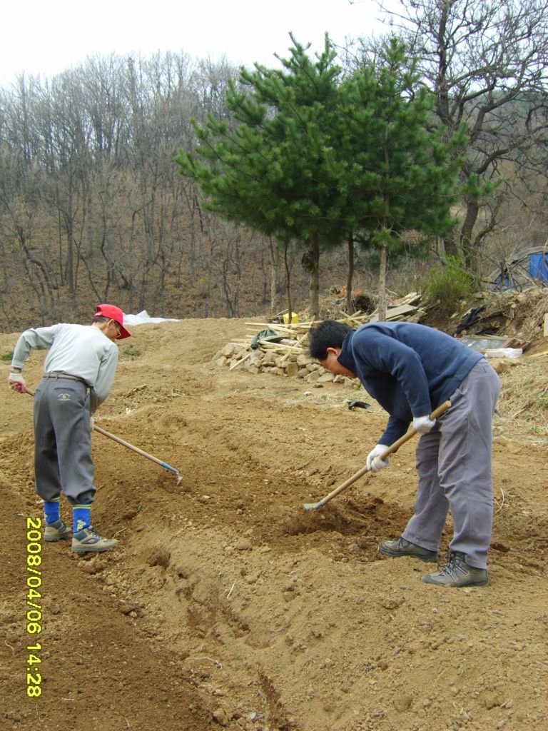 사용자 삽입 이미지
