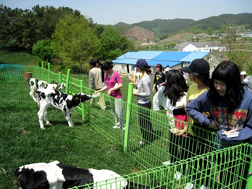 사용자 삽입 이미지