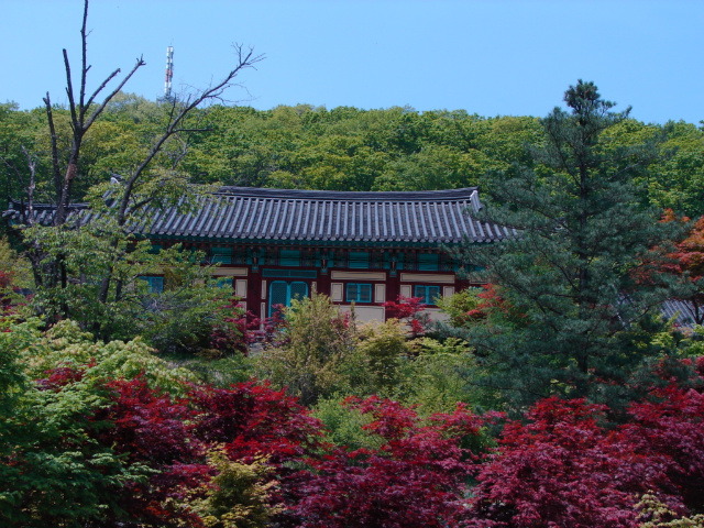 안국사