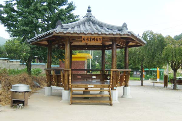 사용자 삽입 이미지