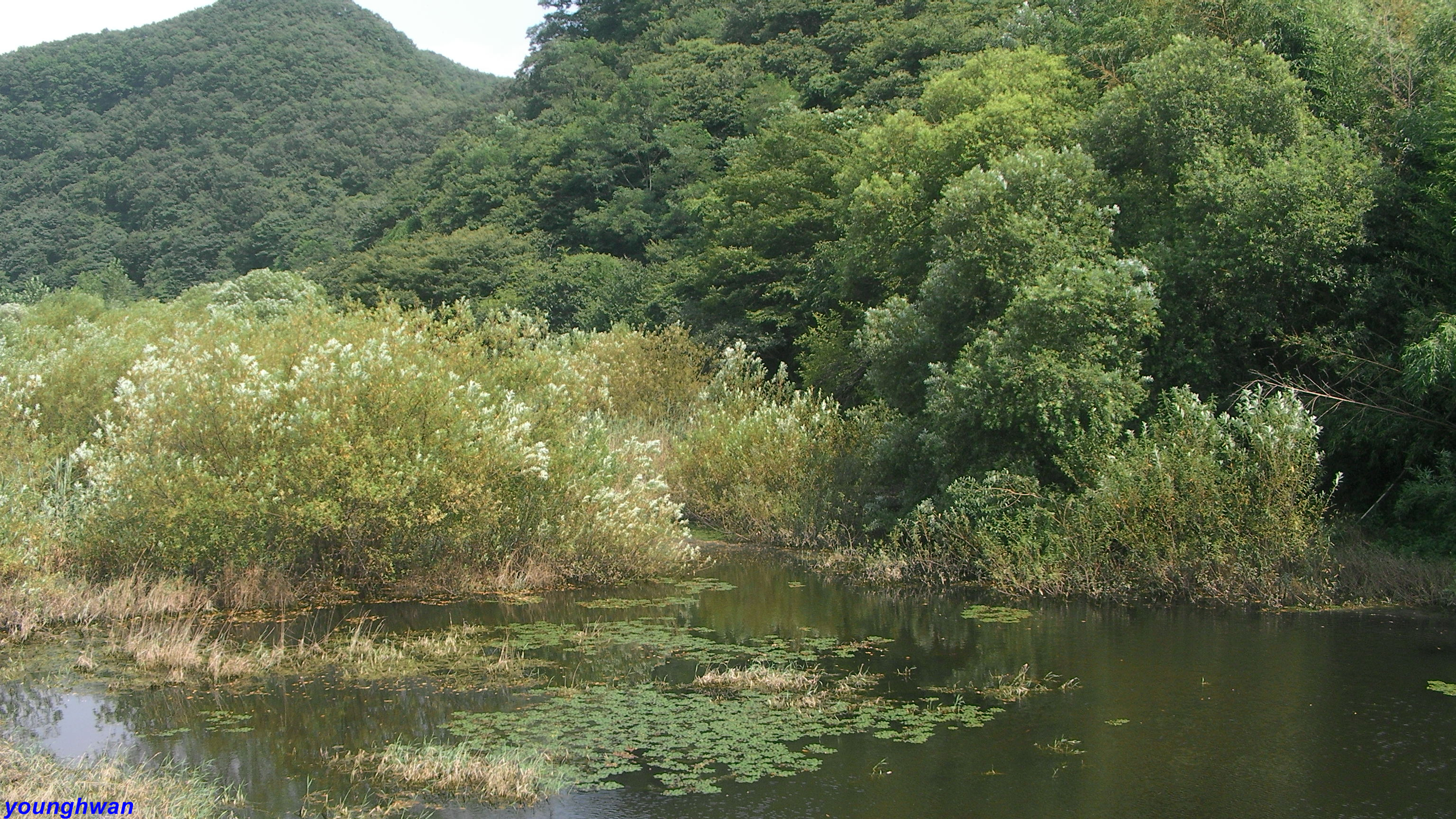사용자 삽입 이미지