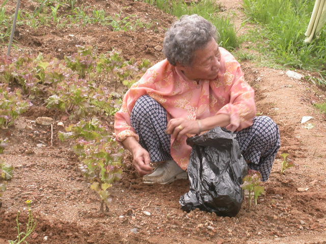 사용자 삽입 이미지