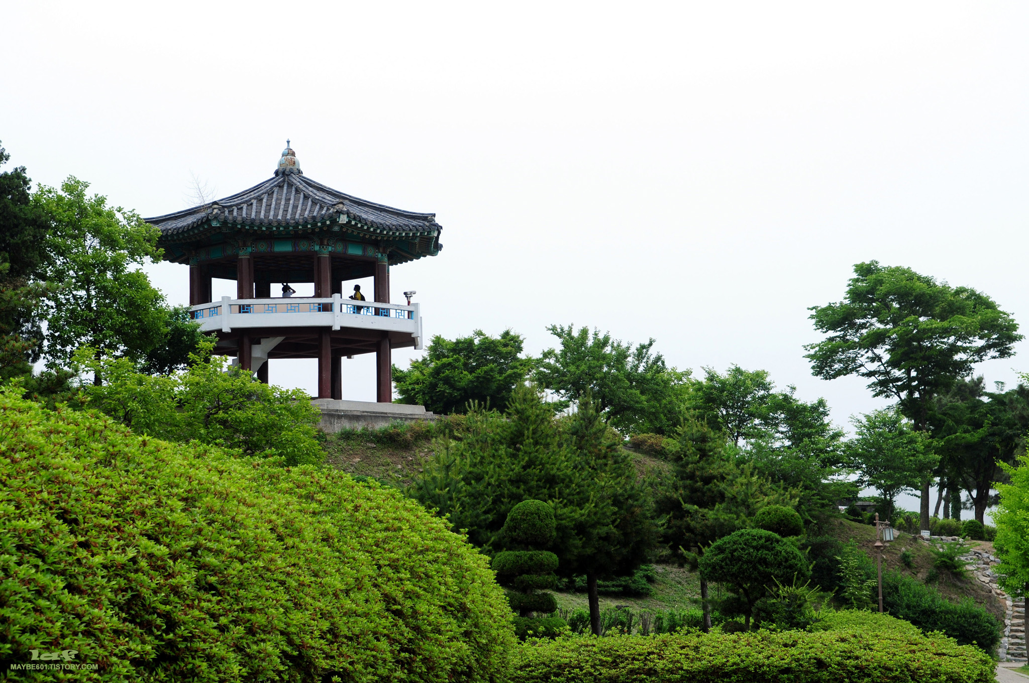 사용자 삽입 이미지