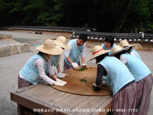 차 덖기 금산사 서래선원