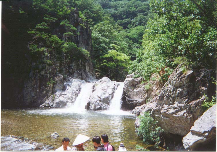사용자 삽입 이미지