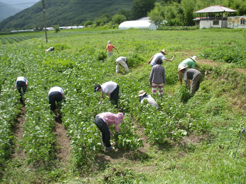 지리산 야단법석 운력