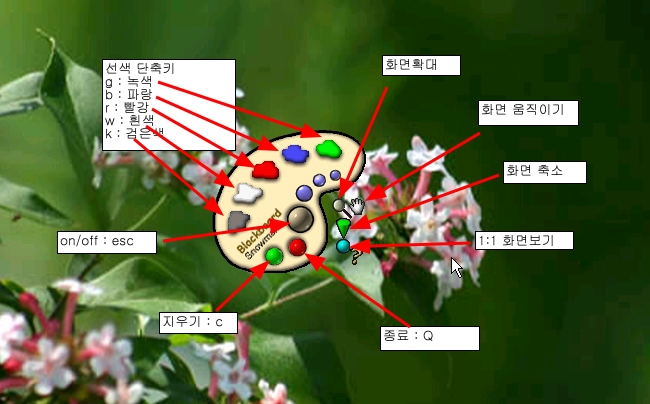 사용자 삽입 이미지