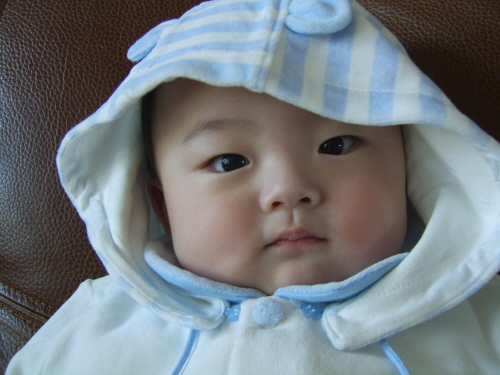 사용자 삽입 이미지