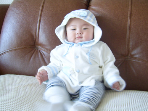 사용자 삽입 이미지