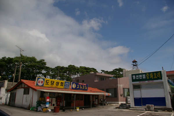 사용자 삽입 이미지