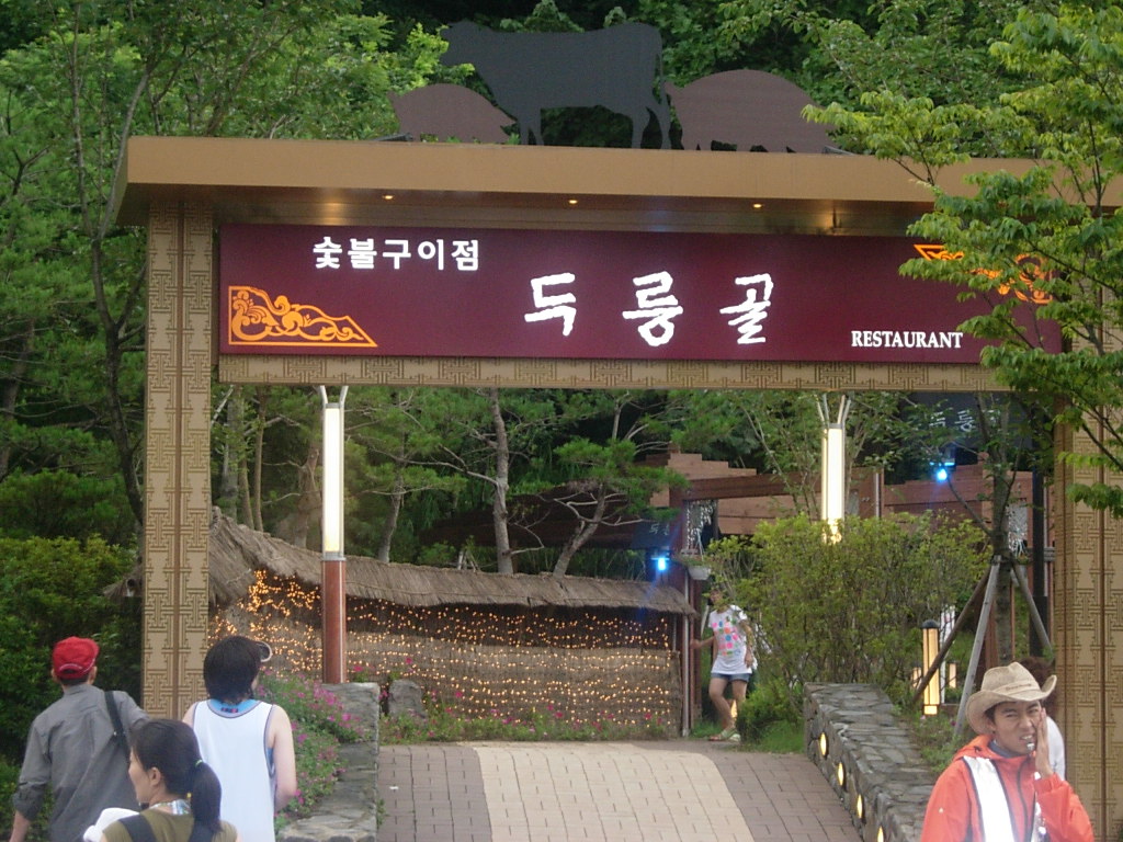 사용자 삽입 이미지