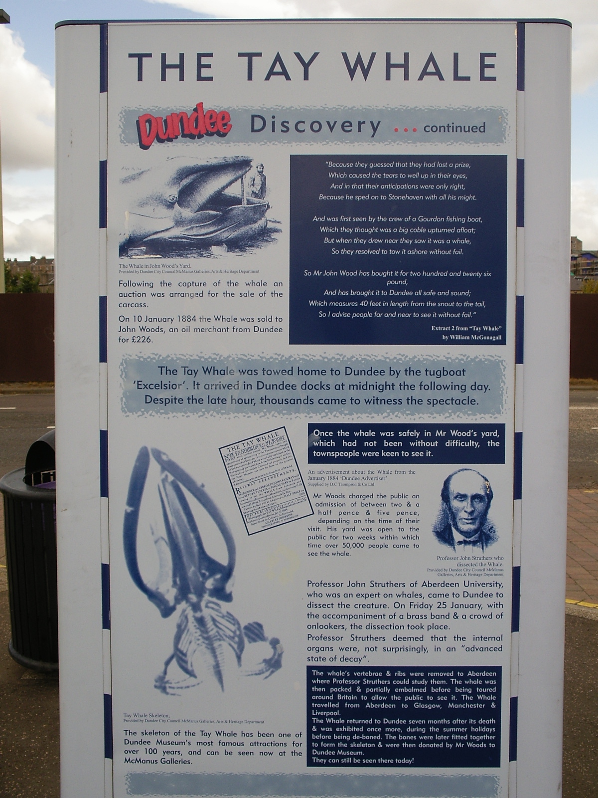 History of Dundee - the Tay Whale