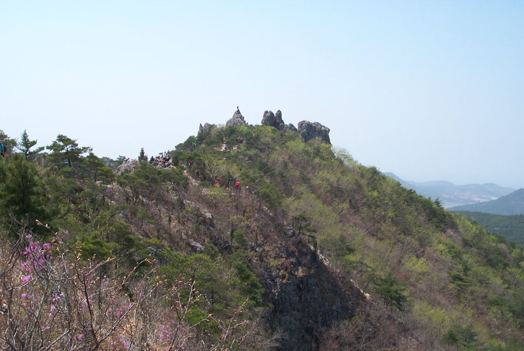 사용자 삽입 이미지