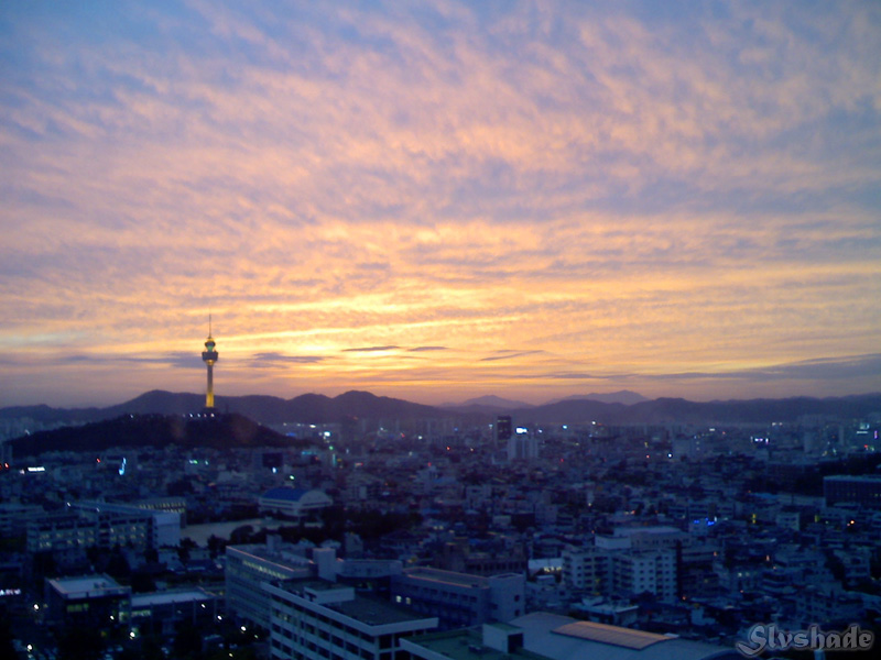 사용자 삽입 이미지