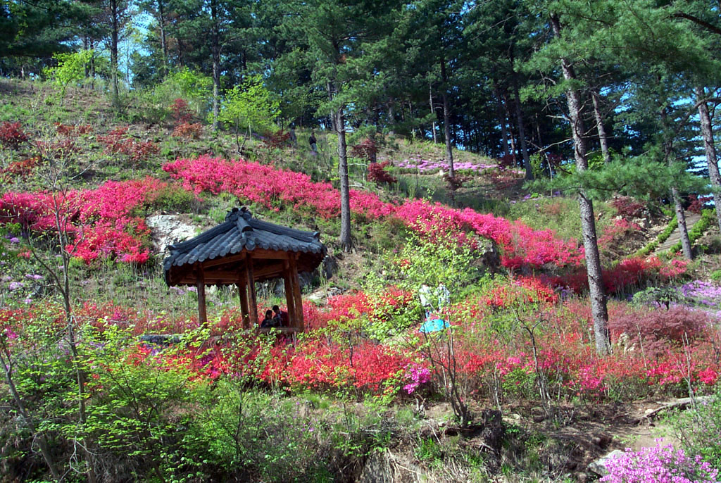 사용자 삽입 이미지