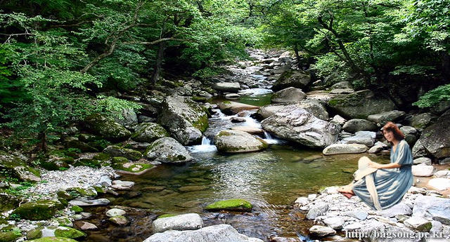 사용자 삽입 이미지