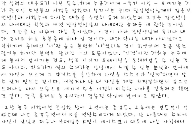 사용자 삽입 이미지