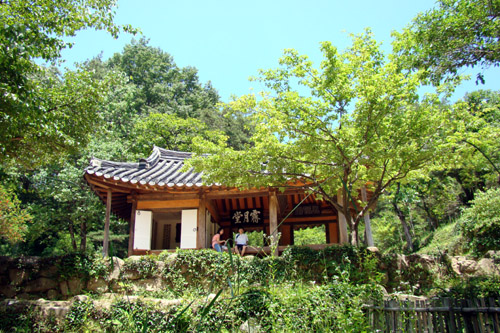사용자 삽입 이미지